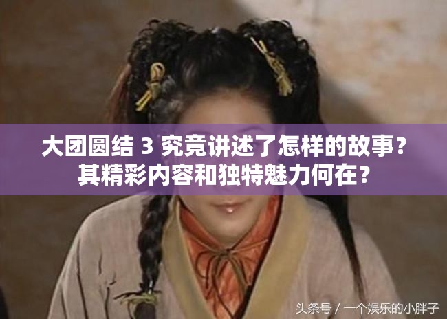 大團(tuán)圓結(jié) 3 究竟講述了怎樣的故事？其精彩內(nèi)容和獨(dú)特魅力何在？