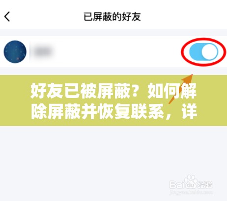 好友已被屏蔽？如何解除屏蔽并恢復(fù)聯(lián)系，詳細(xì)步驟與注意事項(xiàng)全解析