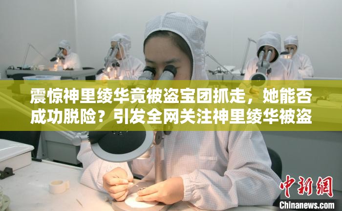 震驚神里綾華竟被盜寶團抓走，她能否成功脫險？引發(fā)全網(wǎng)關(guān)注神里綾華被盜寶團抓去，這背后究竟隱藏著怎樣的陰謀與危機？神里綾華被盜寶團抓走，廣大玩家心急如焚，后續(xù)情況究竟如何？