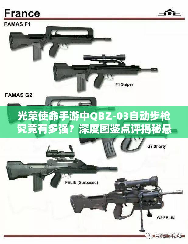 光榮使命手游中QBZ-03自動(dòng)步槍究竟有多強(qiáng)？深度圖鑒點(diǎn)評(píng)揭秘懸念！