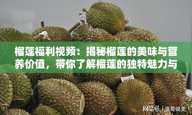 榴蓮福利視頻：揭秘榴蓮的美味與營養(yǎng)價值，帶你了解榴蓮的獨特魅力與健康益處
