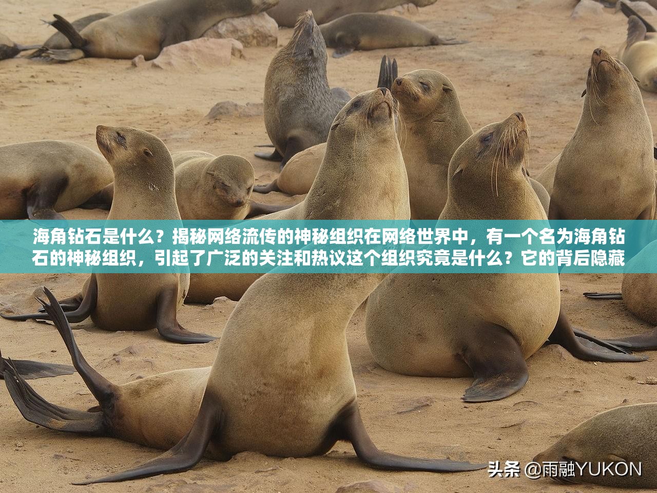 海角鉆石是什么？揭秘網絡流傳的神秘組織在網絡世界中，有一個名為海角鉆石的神秘組織，引起了廣泛的關注和熱議這個組織究竟是什么？它的背后隱藏著怎樣的秘密？將揭開海角鉆石的神秘面紗，探尋其背后的真相