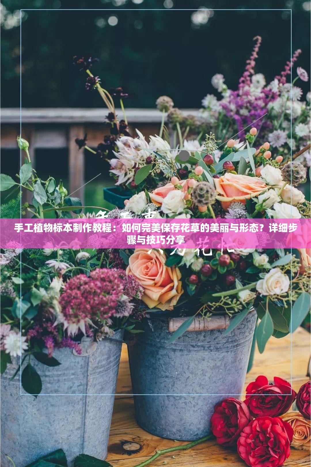 手工植物標(biāo)本制作教程：如何完美保存花草的美麗與形態(tài)？詳細(xì)步驟與技巧分享