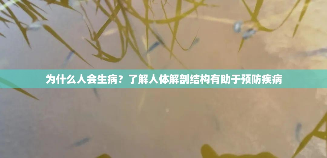 為什么人會生?。苛私馊梭w解剖結(jié)構(gòu)有助于預(yù)防疾病