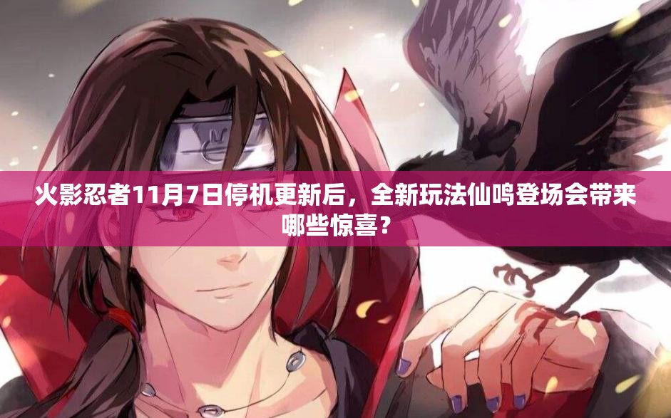 火影忍者11月7日停機更新后，全新玩法仙鳴登場會帶來哪些驚喜？