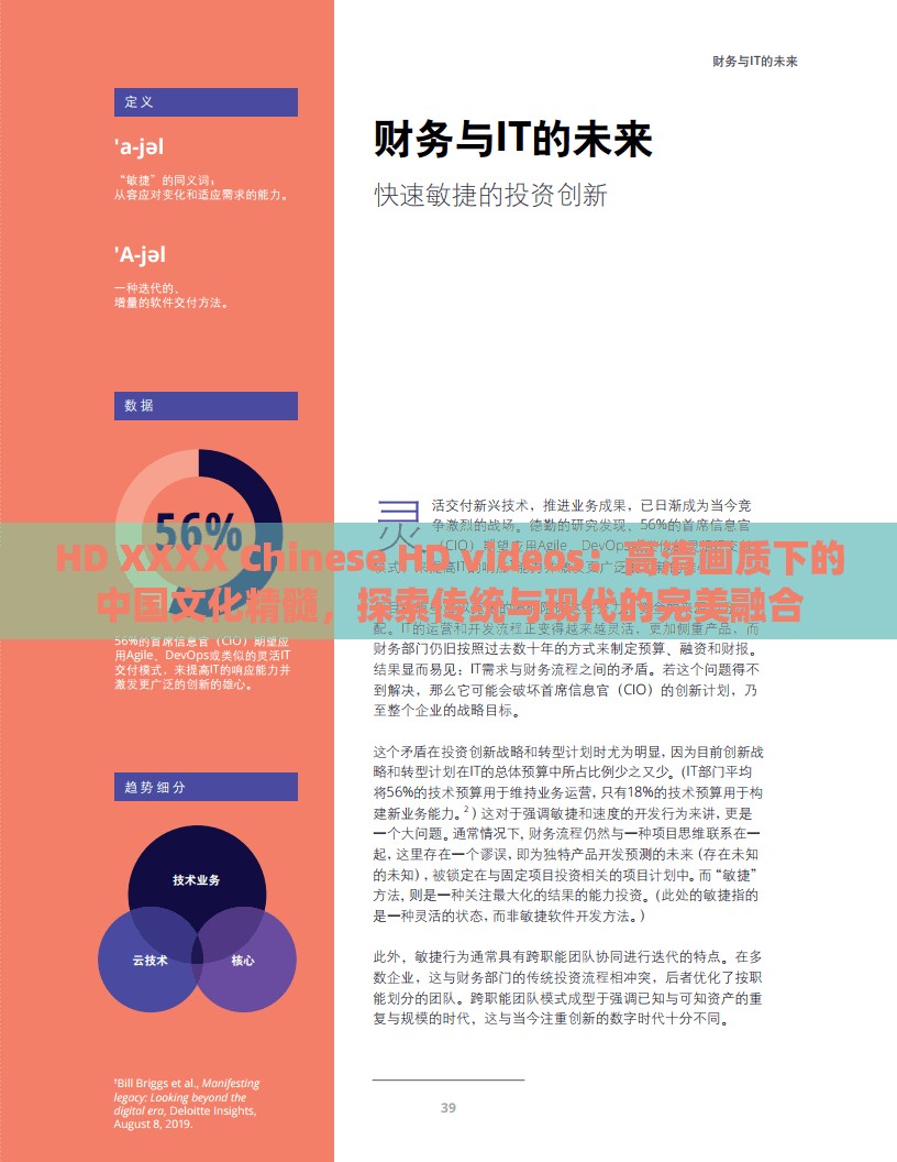 HD XXXX Chinese HD videos：高清畫質(zhì)下的中國(guó)文化精髓，探索傳統(tǒng)與現(xiàn)代的完美融合