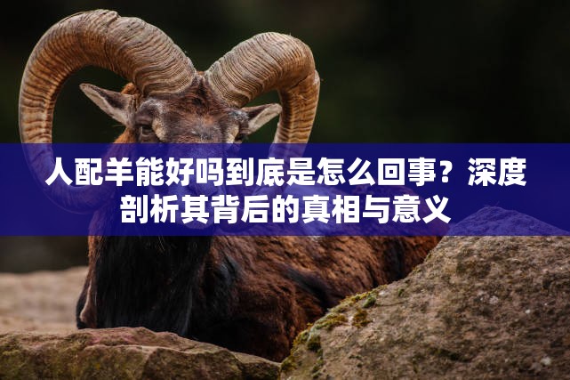 人配羊能好嗎到底是怎么回事？深度剖析其背后的真相與意義