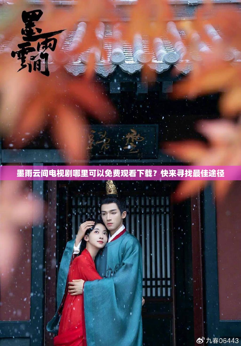 墨雨云間電視劇哪里可以免費(fèi)觀看下載？快來尋找最佳途徑