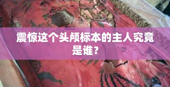 震驚這個(gè)頭顱標(biāo)本的主人究竟是誰？