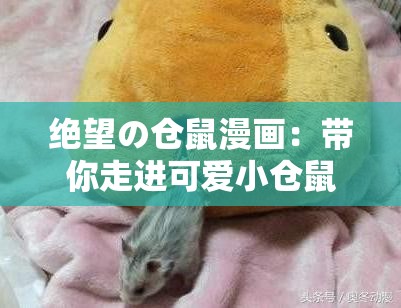 絕望の倉(cāng)鼠漫畫(huà)：帶你走進(jìn)可愛(ài)小倉(cāng)鼠的奇妙世界
