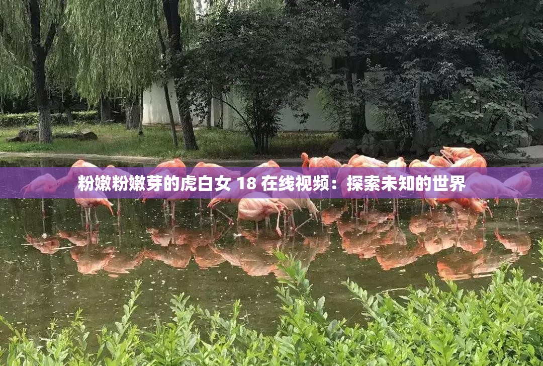 粉嫩粉嫩芽的虎白女 18 在線視頻：探索未知的世界