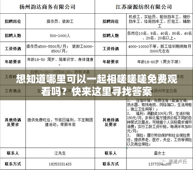 想知道哪里可以一起相嗟嗟嗟免費(fèi)觀看嗎？快來這里尋找答案