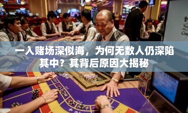 一入賭場深似海，為何無數(shù)人仍深陷其中？其背后原因大揭秘