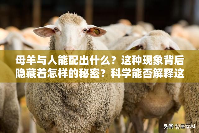 母羊與人能配出什么？這種現(xiàn)象背后隱藏著怎樣的秘密？科學能否解釋這種離奇組合？