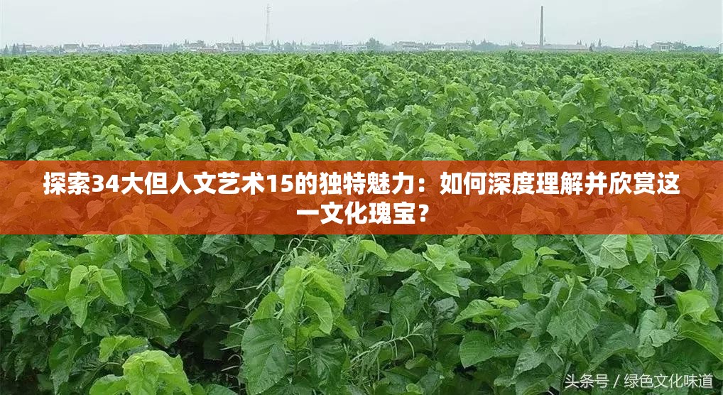 探索34大但人文藝術(shù)15的獨(dú)特魅力：如何深度理解并欣賞這一文化瑰寶？