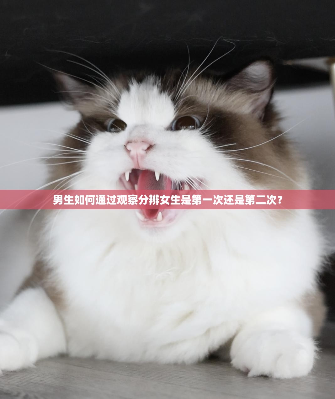 男生如何通過觀察分辨女生是第一次還是第二次？