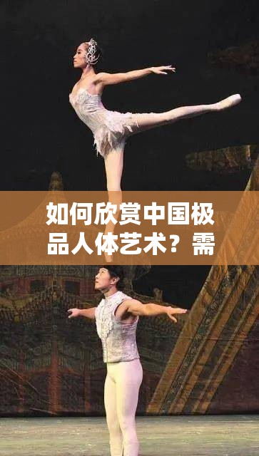如何欣賞中國極品人體藝術(shù)？需要注意的是，人體藝術(shù)是一種藝術(shù)形式，它的價值在于表達美和情感，而不是或低俗的內(nèi)容因此，在欣賞人體藝術(shù)時，我們應(yīng)該保持尊重和理性，不要過度追求刺激和低俗的內(nèi)容