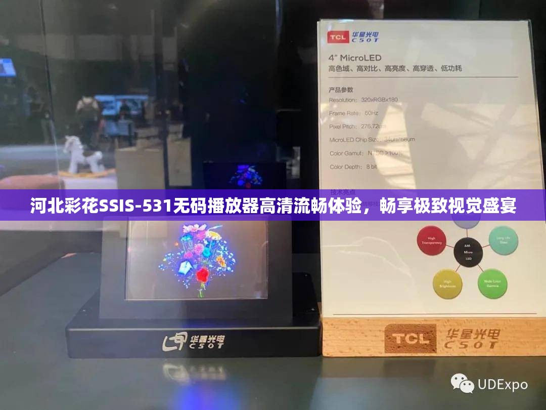 河北彩花SSIS-531無碼播放器高清流暢體驗(yàn)，暢享極致視覺盛宴