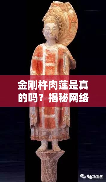 金剛杵肉蓮是真的嗎？揭秘網(wǎng)絡(luò)熱議的金剛杵肉蓮背后的真相與傳說(shuō)