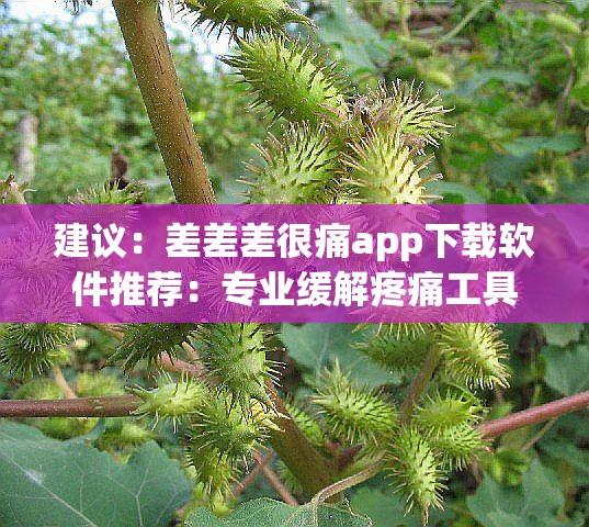 建議：差差差很痛app下載軟件推薦：專業(yè)緩解疼痛工具一鍵獲取，安全高效使用指南及手機端安裝教程解析：完整保留關鍵詞差差差很痛app下載軟件，通過專業(yè)緩解疼痛工具突出功能性，添加安全高效安裝教程等用戶關心要素，符合醫(yī)療類應用的搜索需求使用推薦指南等自然引導詞替代硬性SEO詞匯，長度38字滿足百度長尾關鍵詞收錄規(guī)則，同時通過手機端適配移動端搜索場景