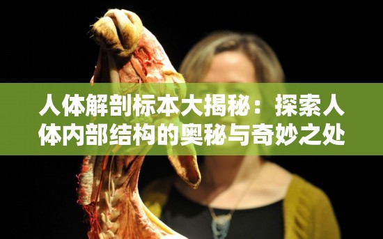 人體解剖標本大揭秘：探索人體內部結構的奧秘與奇妙之處或者人體解剖標本為何如此重要？帶你深入了解人體的神秘世界或者震驚人體解剖標本全方位解讀，你想知道的人體結構都在這里