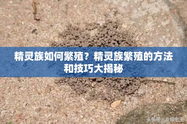 精靈族如何繁殖？精靈族繁殖的方法和技巧大揭秘