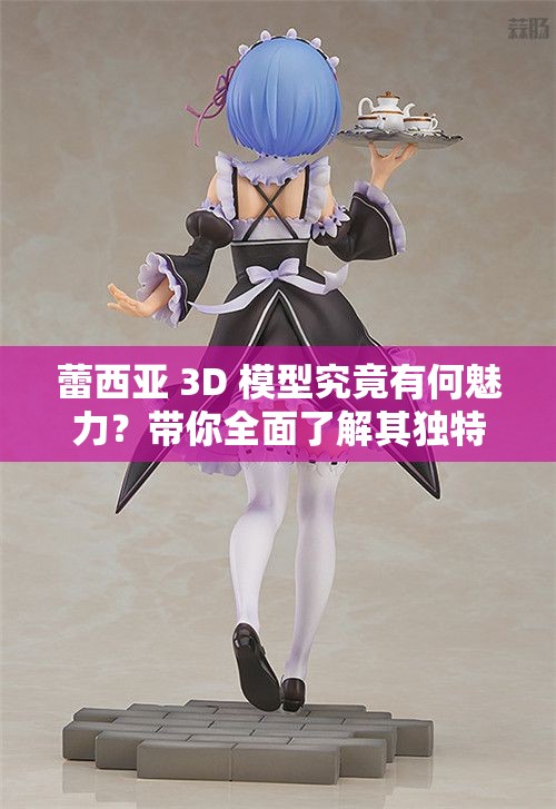 蕾西亞 3D 模型究竟有何魅力？帶你全面了解其獨(dú)特之處