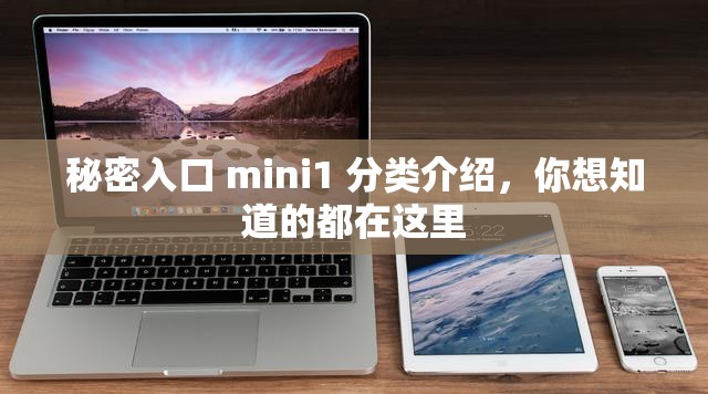 秘密入口 mini1 分類介紹，你想知道的都在這里