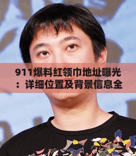 911爆料紅領(lǐng)巾地址曝光：詳細(xì)位置及背景信息全解析，引發(fā)網(wǎng)友熱議