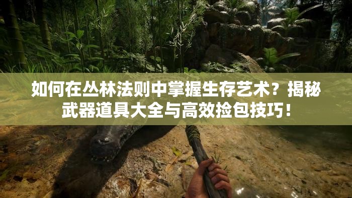 如何在叢林法則中掌握生存藝術？揭秘武器道具大全與高效撿包技巧！