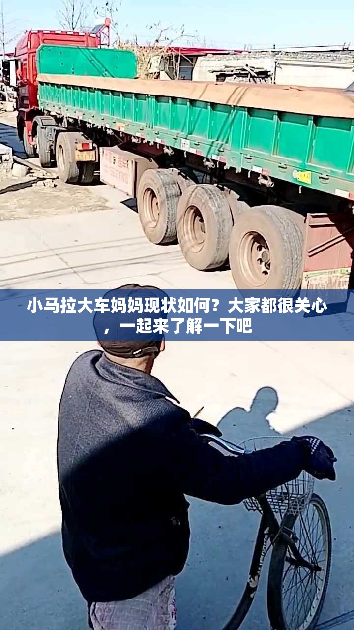 小馬拉大車媽媽現(xiàn)狀如何？大家都很關(guān)心，一起來(lái)了解一下吧