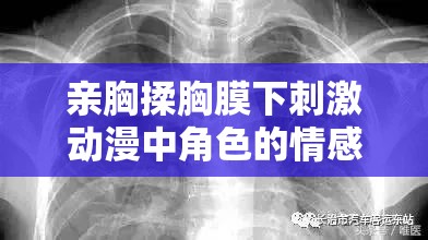 親胸揉胸膜下刺激動(dòng)漫中角色的情感與欲望如何展現(xiàn)親胸揉胸膜下刺激動(dòng)漫里主角們的特殊互動(dòng)場(chǎng)景有哪些親胸揉胸膜下刺激動(dòng)漫里那些令人驚嘆的情節(jié)設(shè)定是什么