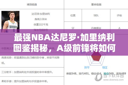 最強NBA達尼羅·加里納利圖鑒揭秘，A級前鋒將如何革命未來玩法？