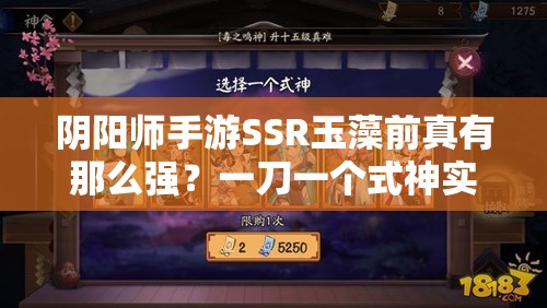 陰陽師手游SSR玉藻前真有那么強？一刀一個式神實戰(zhàn)評測揭秘！