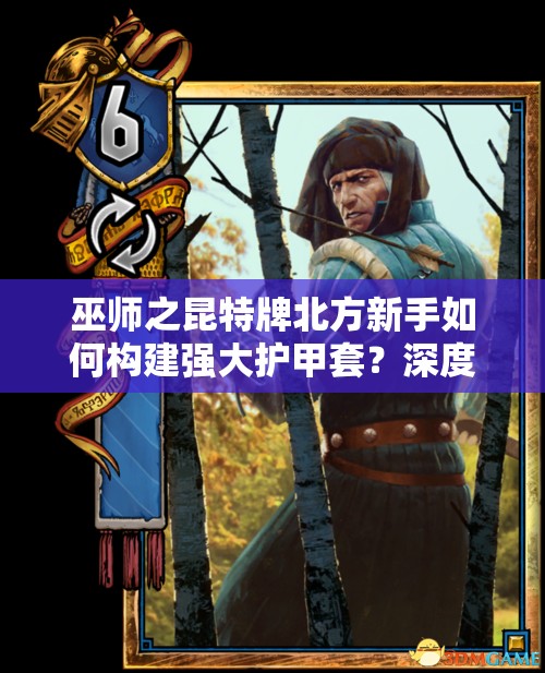 巫師之昆特牌北方新手如何構(gòu)建強大護甲套？深度解析來揭秘！