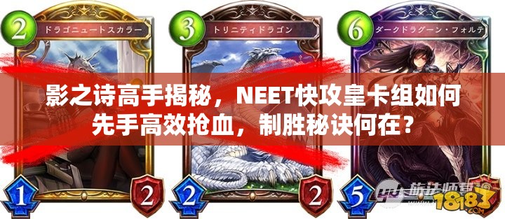 影之詩高手揭秘，NEET快攻皇卡組如何先手高效搶血，制勝秘訣何在？