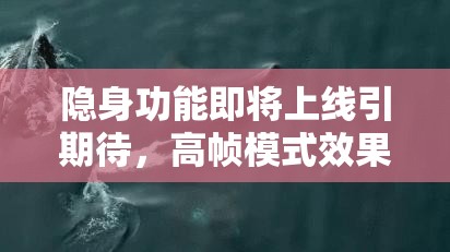 隱身功能即將上線引期待，高幀模式效果不佳，玩家全面攻略何在？