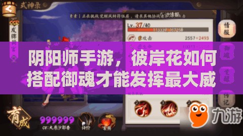 陰陽師手游，彼岸花如何搭配御魂才能發(fā)揮最大威力？