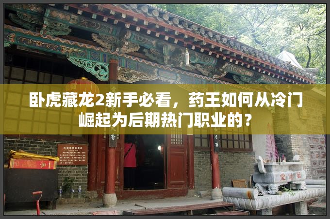 臥虎藏龍2新手必看，藥王如何從冷門崛起為后期熱門職業(yè)的？