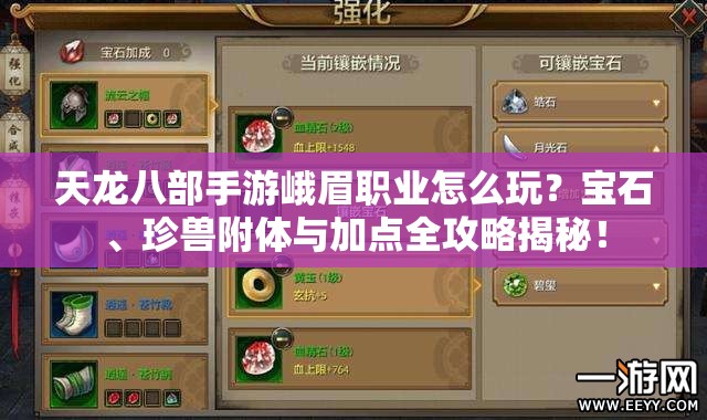 天龍八部手游峨眉職業(yè)怎么玩？寶石、珍獸附體與加點全攻略揭秘！