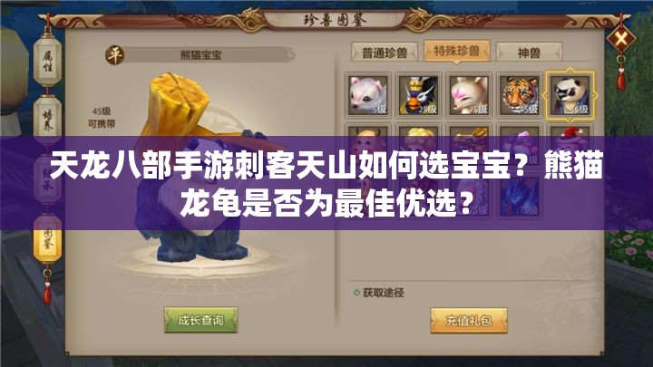 天龍八部手游刺客天山如何選寶寶？熊貓龍龜是否為最佳優(yōu)選？
