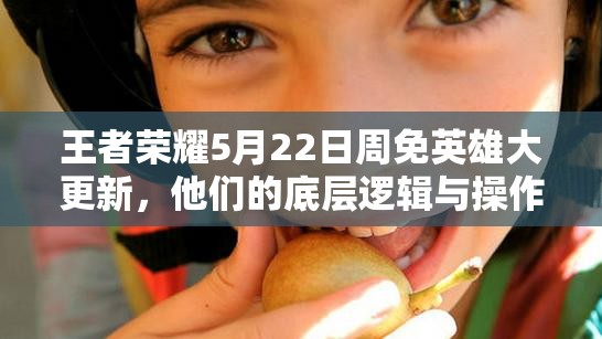 王者榮耀5月22日周免英雄大更新，他們的底層邏輯與操作有何深度變化？