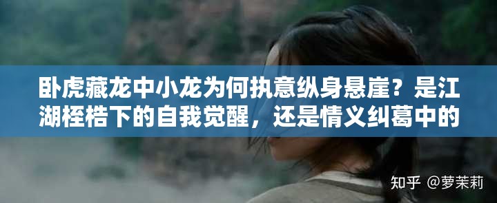 臥虎藏龍中小龍為何執(zhí)意縱身懸崖？是江湖桎梏下的自我覺醒，還是情義糾葛中的終極抉擇？