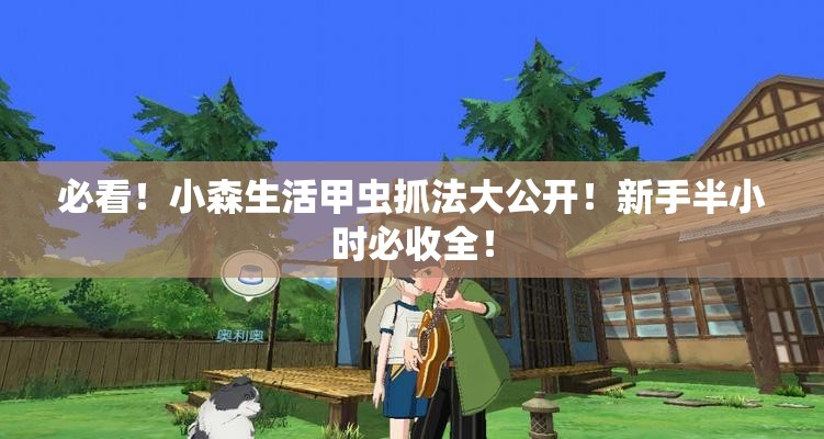 必看！小森生活甲蟲抓法大公開！新手半小時必收全！