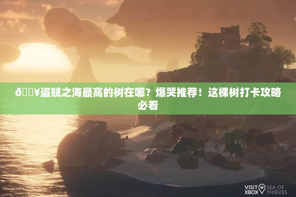 ??盜賊之海最高的樹在哪？爆哭推薦！這棵樹打卡攻略必看
