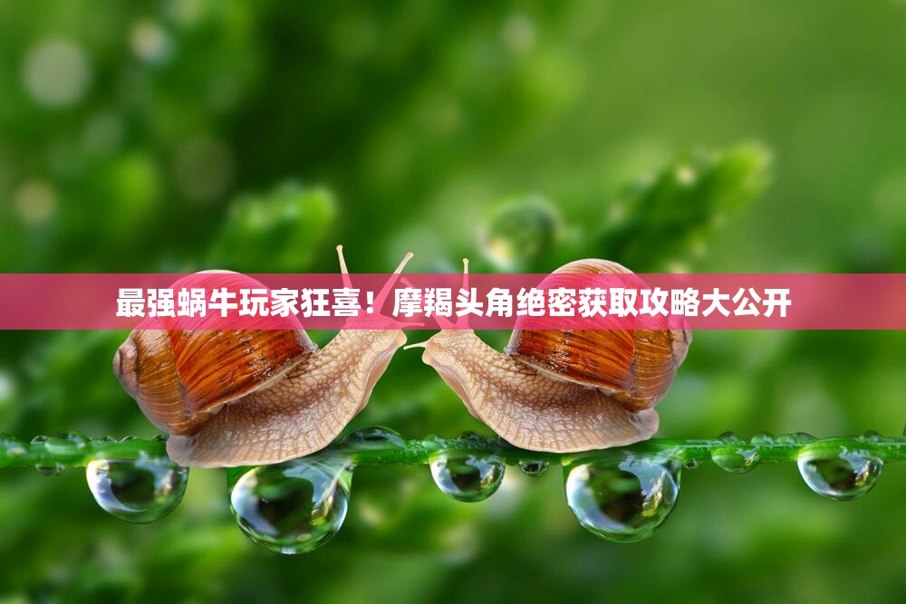 最強蝸牛玩家狂喜！摩羯頭角絕密獲取攻略大公開